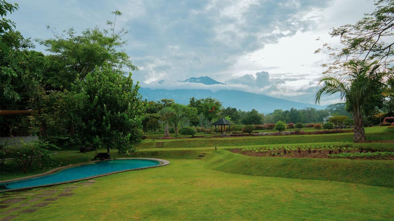 K Gallery Hotel Pasuruan Εξωτερικό φωτογραφία