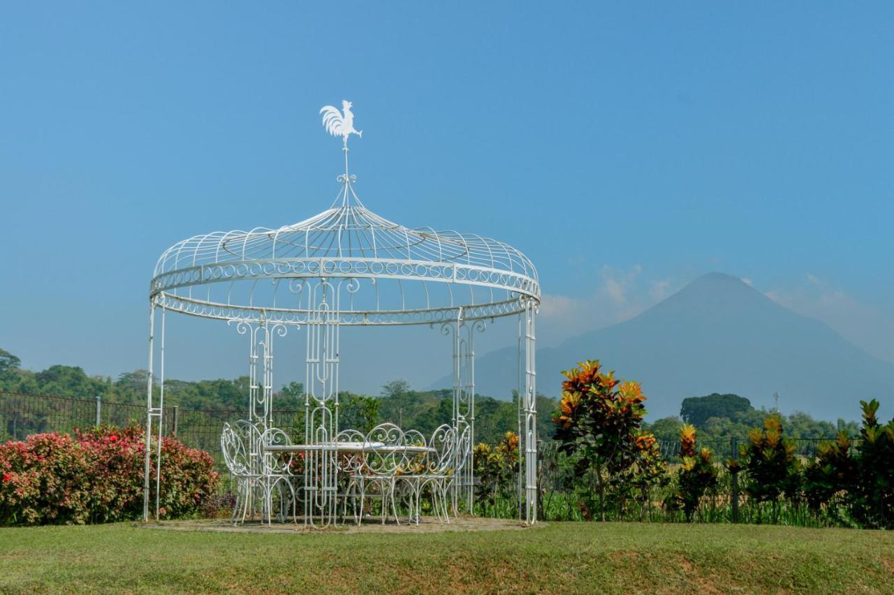 K Gallery Hotel Pasuruan Εξωτερικό φωτογραφία
