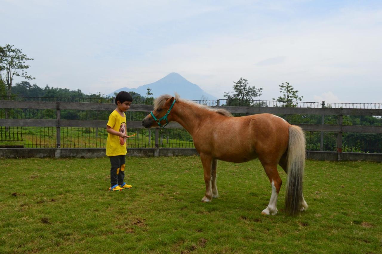 K Gallery Hotel Pasuruan Εξωτερικό φωτογραφία